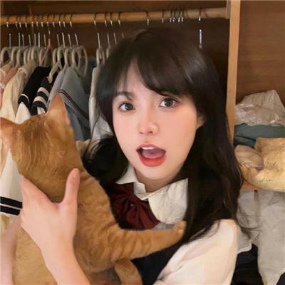 冰狗任务 海报